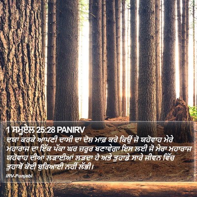 1 ਸਮੂਏਲ 25:28 PANIRV Bible Verse Image