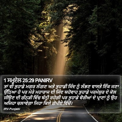 1 ਸਮੂਏਲ 25:29 PANIRV Bible Verse Image