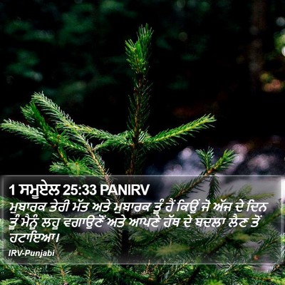 1 ਸਮੂਏਲ 25:33 PANIRV Bible Verse Image