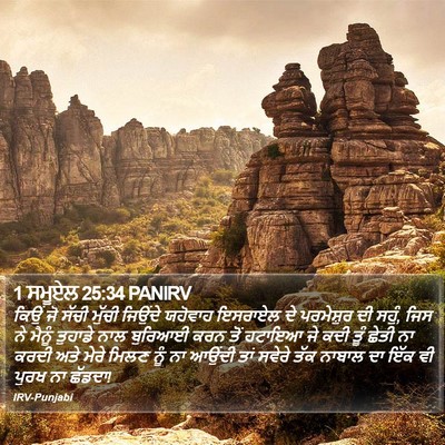 1 ਸਮੂਏਲ 25:34 PANIRV Bible Verse Image