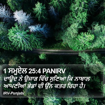 1 ਸਮੂਏਲ 25:4 PANIRV Bible Verse Image