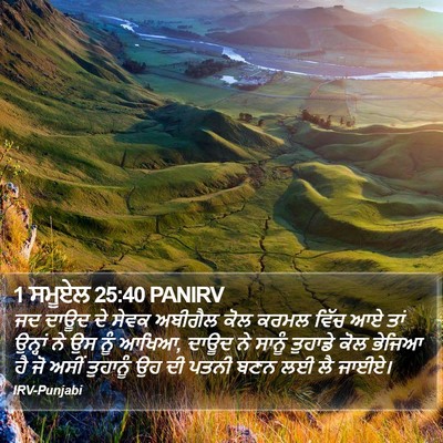 1 ਸਮੂਏਲ 25:40 PANIRV Bible Verse Image