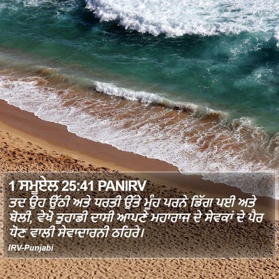 1 ਸਮੂਏਲ 25:41 PANIRV Bible Verse Image