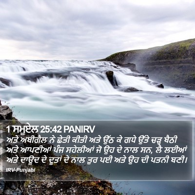 1 ਸਮੂਏਲ 25:42 PANIRV Bible Verse Image