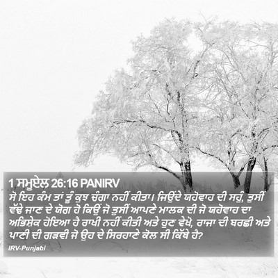 1 ਸਮੂਏਲ 26:16 PANIRV Bible Verse Image