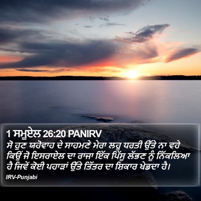 1 ਸਮੂਏਲ 26:20 PANIRV Bible Verse Image