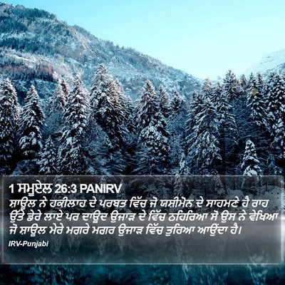 1 ਸਮੂਏਲ 26:3 PANIRV Bible Verse Image