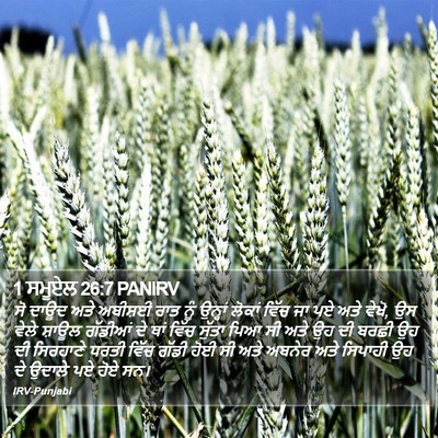 1 ਸਮੂਏਲ 26:7 PANIRV Bible Verse Image