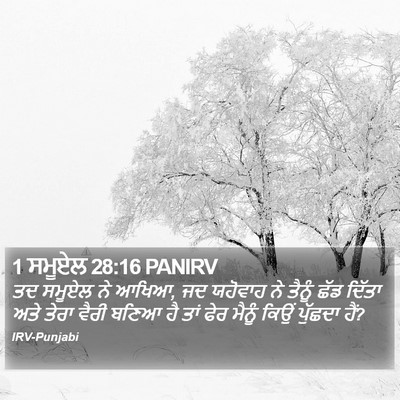 1 ਸਮੂਏਲ 28:16 PANIRV Bible Verse Image