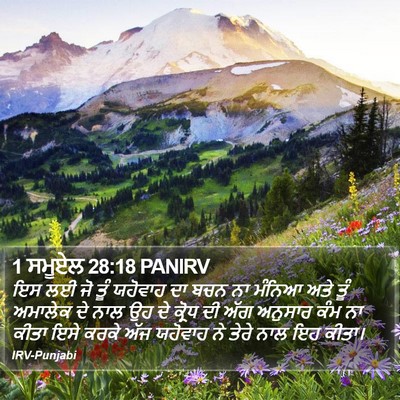 1 ਸਮੂਏਲ 28:18 PANIRV Bible Verse Image