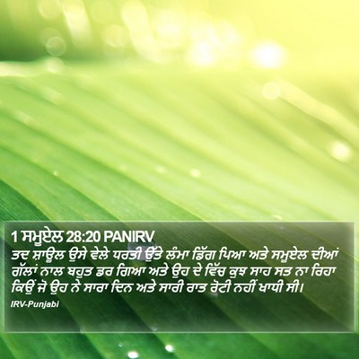 1 ਸਮੂਏਲ 28:20 PANIRV Bible Verse Image