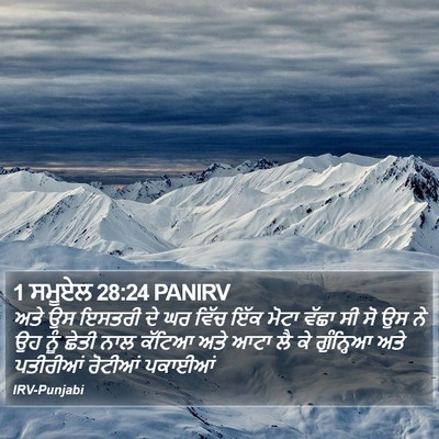 1 ਸਮੂਏਲ 28:24 PANIRV Bible Verse Image