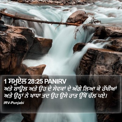 1 ਸਮੂਏਲ 28:25 PANIRV Bible Verse Image