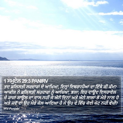 1 ਸਮੂਏਲ 29:3 PANIRV Bible Verse Image