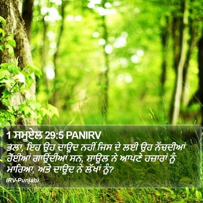 1 ਸਮੂਏਲ 29:5 PANIRV Bible Verse Image