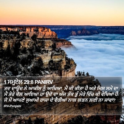 1 ਸਮੂਏਲ 29:8 PANIRV Bible Verse Image