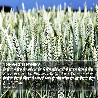 1 ਸਮੂਏਲ 3:13 PANIRV Bible Verse Image