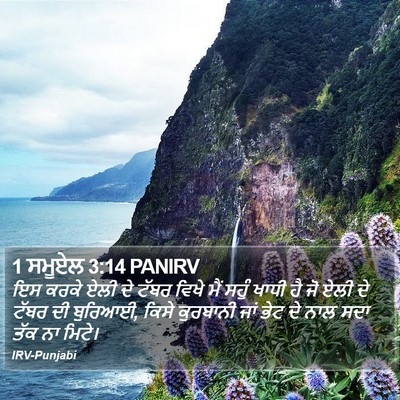 1 ਸਮੂਏਲ 3:14 PANIRV Bible Verse Image