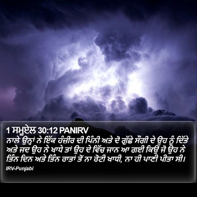 1 ਸਮੂਏਲ 30:12 PANIRV Bible Verse Image