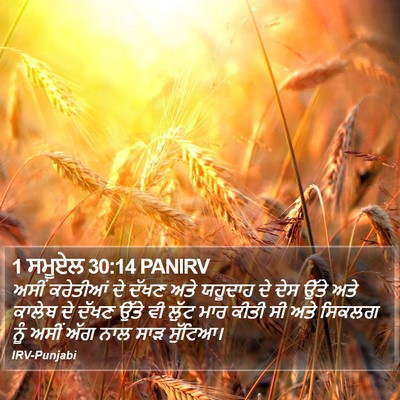 1 ਸਮੂਏਲ 30:14 PANIRV Bible Verse Image