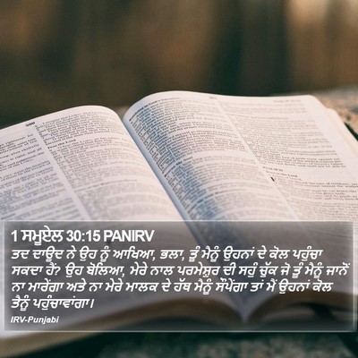 1 ਸਮੂਏਲ 30:15 PANIRV Bible Verse Image