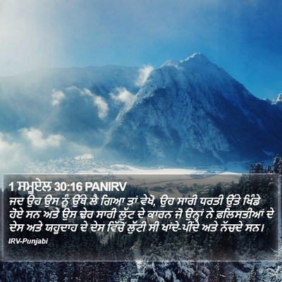 1 ਸਮੂਏਲ 30:16 PANIRV Bible Verse Image