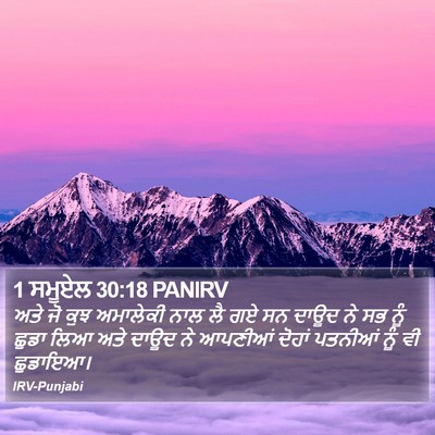 1 ਸਮੂਏਲ 30:18 PANIRV Bible Verse Image