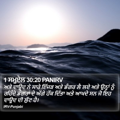 1 ਸਮੂਏਲ 30:20 PANIRV Bible Verse Image