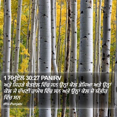 1 ਸਮੂਏਲ 30:27 PANIRV Bible Verse Image
