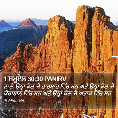 1 ਸਮੂਏਲ 30:30 PANIRV Bible Verse Image