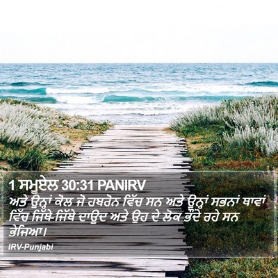 1 ਸਮੂਏਲ 30:31 PANIRV Bible Verse Image