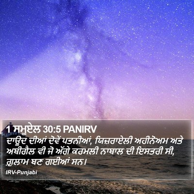 1 ਸਮੂਏਲ 30:5 PANIRV Bible Verse Image