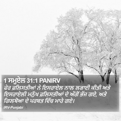 1 ਸਮੂਏਲ 31:1 PANIRV Bible Verse Image