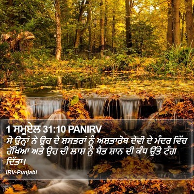 1 ਸਮੂਏਲ 31:10 PANIRV Bible Verse Image