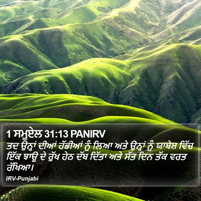 1 ਸਮੂਏਲ 31:13 PANIRV Bible Verse Image