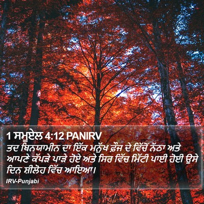1 ਸਮੂਏਲ 4:12 PANIRV Bible Verse Image