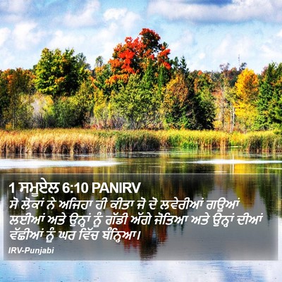 1 ਸਮੂਏਲ 6:10 PANIRV Bible Verse Image