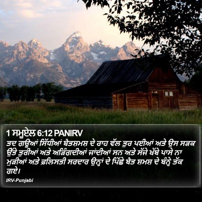 1 ਸਮੂਏਲ 6:12 PANIRV Bible Verse Image