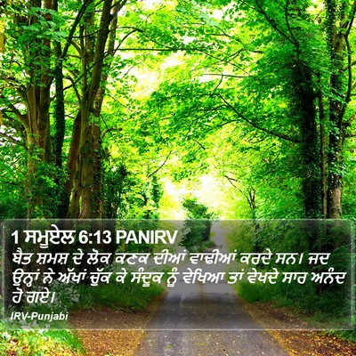 1 ਸਮੂਏਲ 6:13 PANIRV Bible Verse Image