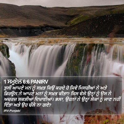 1 ਸਮੂਏਲ 6:6 PANIRV Bible Verse Image