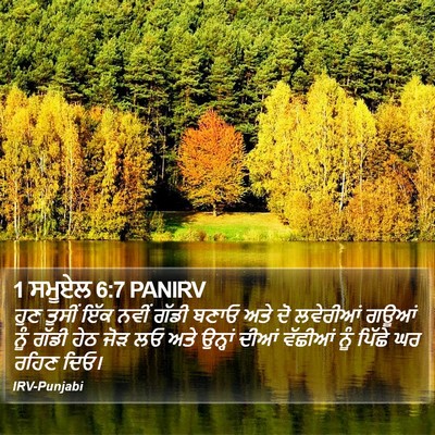 1 ਸਮੂਏਲ 6:7 PANIRV Bible Verse Image