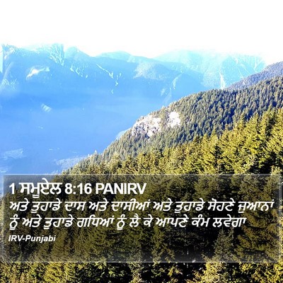 1 ਸਮੂਏਲ 8:16 PANIRV Bible Verse Image