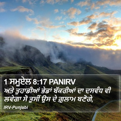 1 ਸਮੂਏਲ 8:17 PANIRV Bible Verse Image