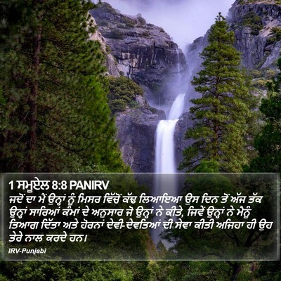 1 ਸਮੂਏਲ 8:8 PANIRV Bible Verse Image