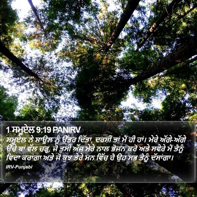 1 ਸਮੂਏਲ 9:19 PANIRV Bible Verse Image