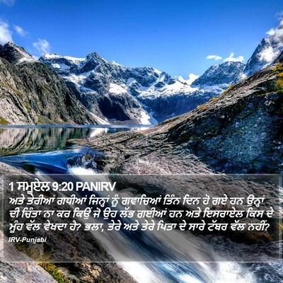 1 ਸਮੂਏਲ 9:20 PANIRV Bible Verse Image