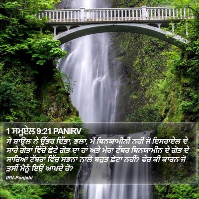1 ਸਮੂਏਲ 9:21 PANIRV Bible Verse Image