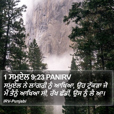 1 ਸਮੂਏਲ 9:23 PANIRV Bible Verse Image