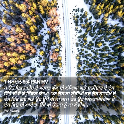 1 ਸਮੂਏਲ 9:4 PANIRV Bible Verse Image
