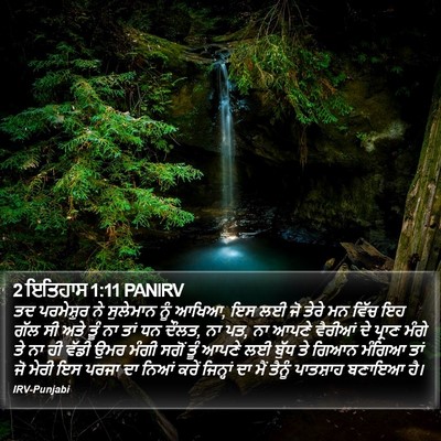 2 ਇਤਿਹਾਸ 1:11 PANIRV Bible Verse Image